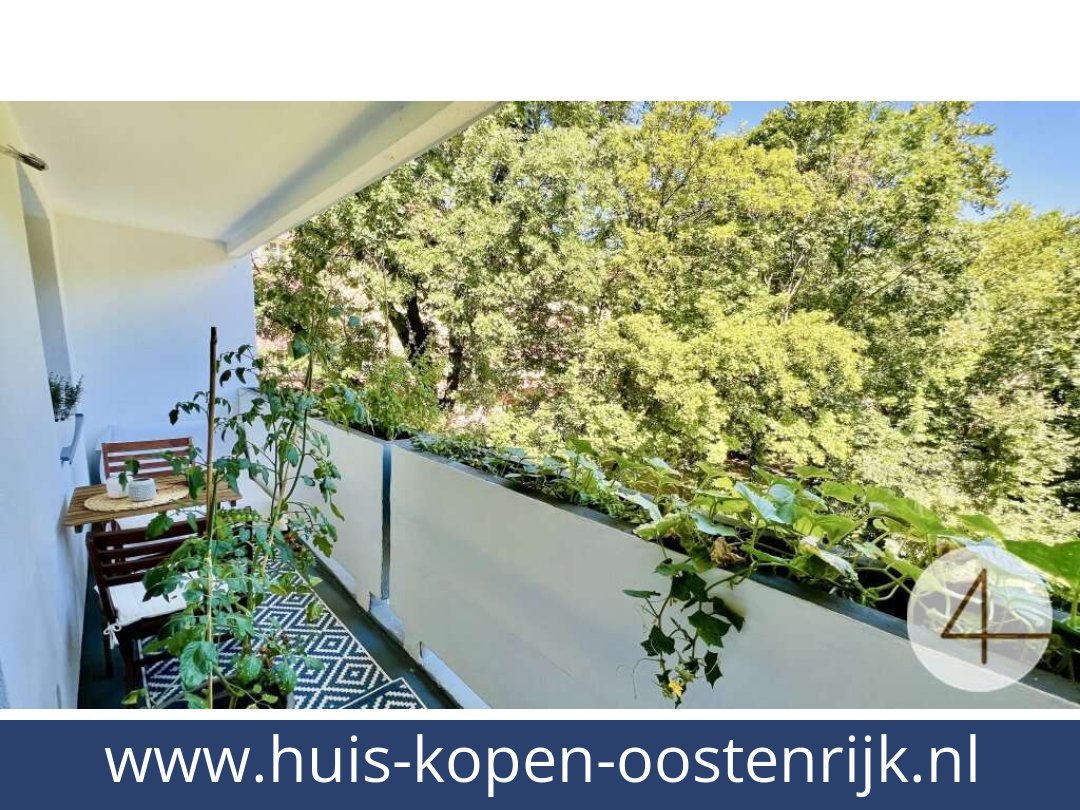 huis-kopen-oostenrijk-becs-1210-20260411044717-0077401008.jpg huis-kopen-oostenrijk-becs-1210-20260411044717-0077401008.jpg