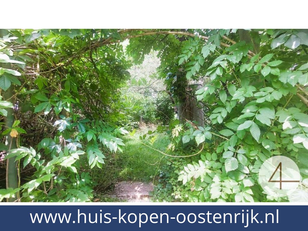 huis-kopen-oostenrijk-heidenreichstein-3860-20260409042716-0021701008.jpg huis-kopen-oostenrijk-heidenreichstein-3860-20260409042716-0021701008.jpg