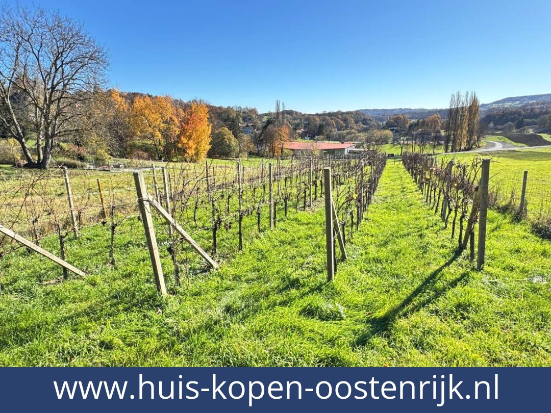 huis-kopen-oostenrijk-kapfenstein-8353-20260409153724-0046301023.jpg huis-kopen-oostenrijk-kapfenstein-8353-20260409153724-0046301023.jpg