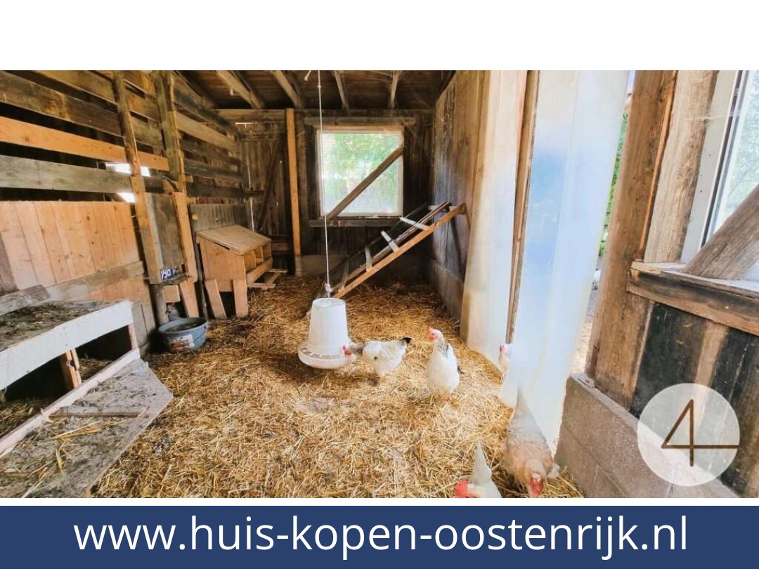 huis-kopen-oostenrijk-windigsteig-3841-20260410072717-0061301023.jpg huis-kopen-oostenrijk-windigsteig-3841-20260410072717-0061301023.jpg
